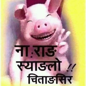 Meet your Posher, Inglim